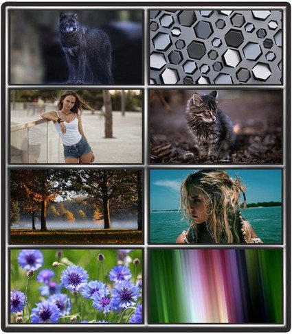 Collection wallpapers to your desktop #872