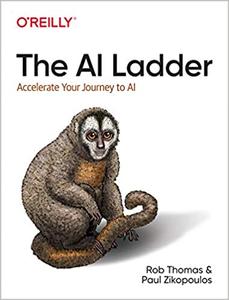 The AI Ladder: Accelerate Your Journey to AI (PDF)