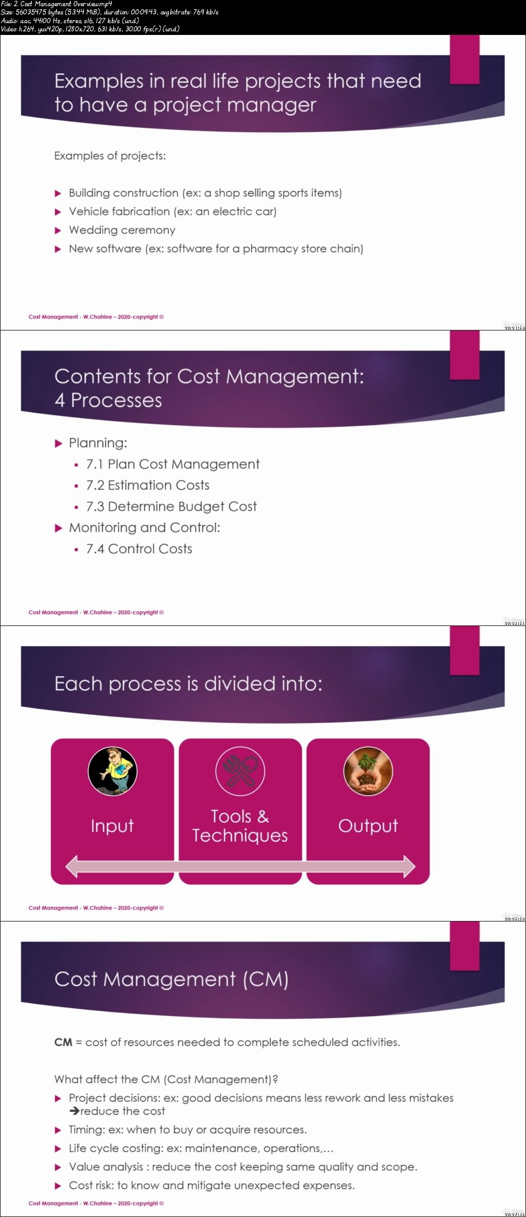 pmp cost management