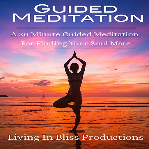 Guided Meditation: A 30 Minute Guided Mediation for Finding Your Soul Mate (Audiobook)