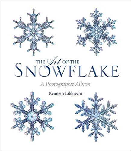 The Art of the Snowflake: A Photographic Gallery