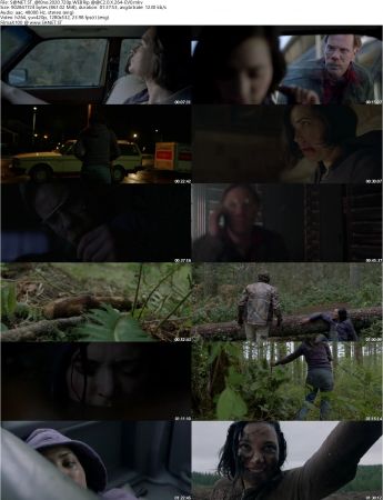 Alone 2020 720 WEBRip AAC2.0 X264-EVO