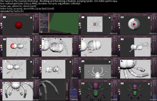 The Gnomon Workshop – Modeling and Rendering a Realistic Jumping Spider