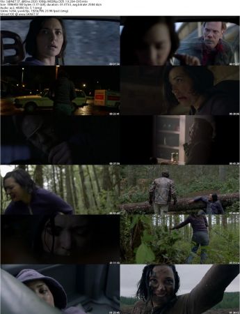 Alone 2020 1080p WEBRip DD5.1 X264-EVO