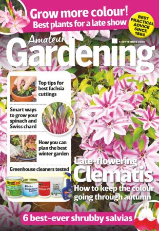 Amateur Gardening   05 September 2020