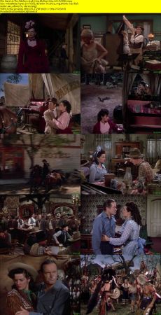 The Paleface 1948 720p BluRay H264 AAC-RARBG