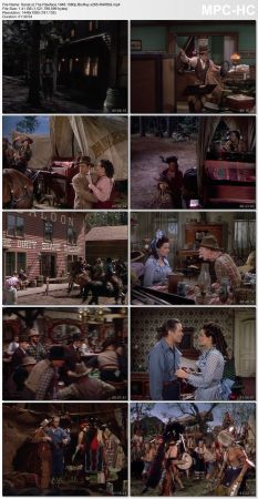 The Paleface 1948 1080p BluRay x265-RARBG