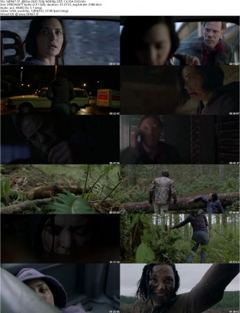 Alone 2020 720p WEBRip DD5.1 X264-EVO