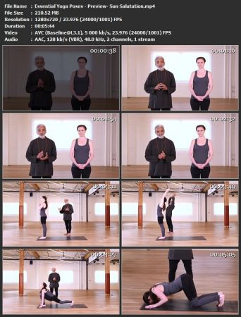 Essential Yoga Poses 