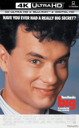 Big 1988 HDR 2160p WEBRip x265-iNTENSO