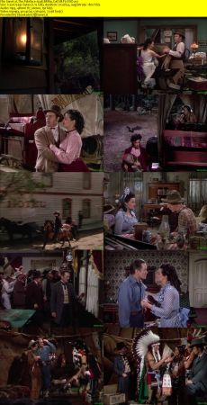 The Paleface 1948 BRRip XviD MP3-XVID
