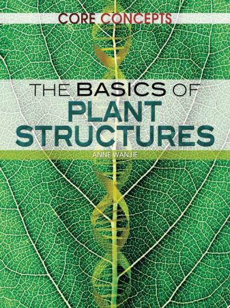 The Basics of Plant Structures (Core Concepts)