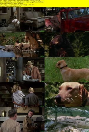 The Incredible Journey 1963 WEBRip XviD MP3-XVID
