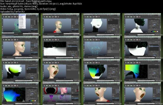 CGCircuit - Face Rigging