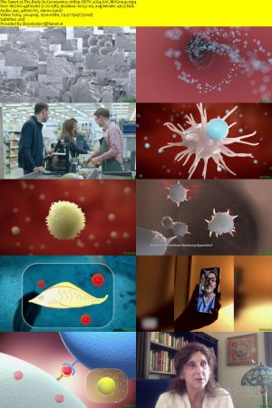 NHK - The Body Vs. Coronavirus (2020) 1080p HDTV x264 AAC MVGroup
