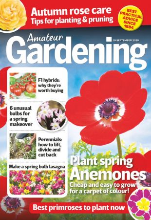 Amateur Gardening   19 September 2020