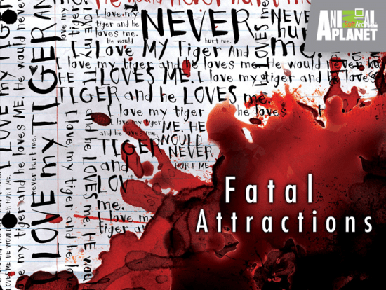 Fatal Attractions S03 1080p WEB-DL AAC2.0 x264-CAFFEiNE