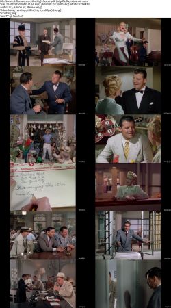 Romance on the High Seas 1948 720p BluRay x264-x0r