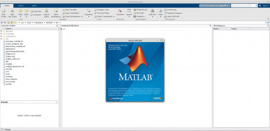 MathWorks MATLAB R2020b v9.9.0.1467703 Linux (x64)
