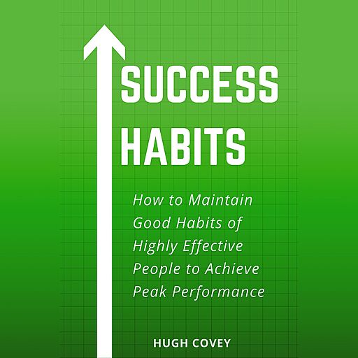Success Habits: How to Maintain Good Habits of Highly Effective People to Achieve Peak Performance (Audiobook)