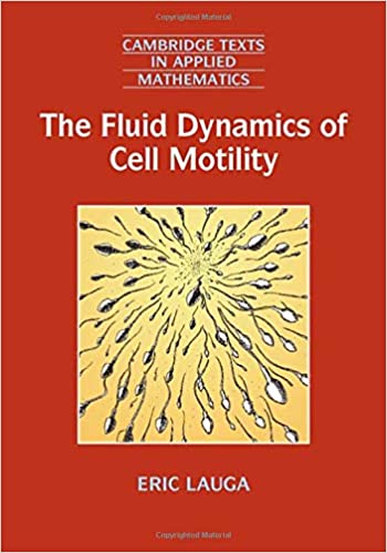 The Fluid Dynamics of Cell Motility