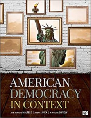 American Democracy in Context