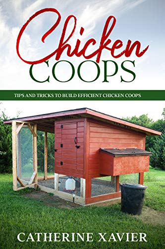 Chicken Coops: Tips and Tricks to Build Efficient Chicken Coops