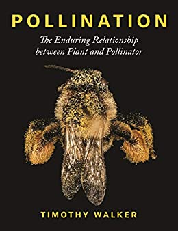 Pollination: The Enduring Relationship between Plant and Pollinator