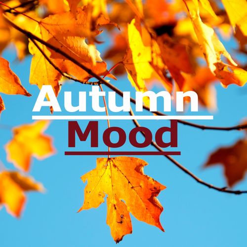 VA   Autumn Mood (2020)