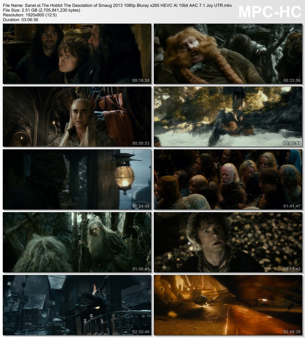 The Hobbit: The Desolation of Smaug for ipod download