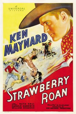 Strawberry Roan 1933 WEBRip XviD MP3-XVID