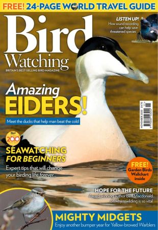 Bird Watching UK   November 2020