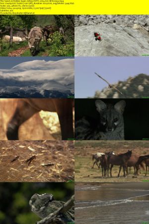 Doclights - Hidden Spain (2020) 1080p HDTV x264 AAC MVGroup
