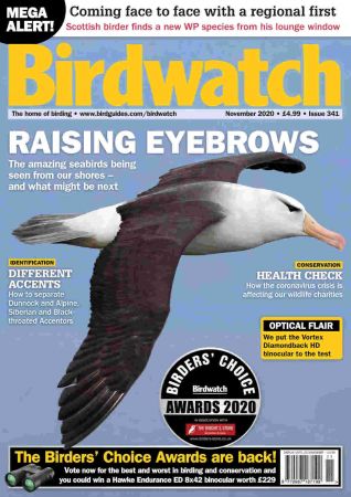Birdwatch UK   November 2020