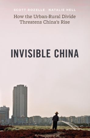 Invisible China: How the Urban Rural Divide Threatens China's Rise