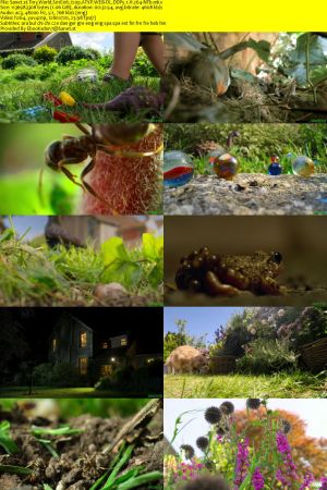 Tiny World S01 720p ATVP WEB-DL DDP5.1 H264-NTb