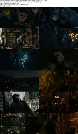 Planet Of The Apes Complete Collection 1080p BluRay H264 AC3 DD5.1 Will1869