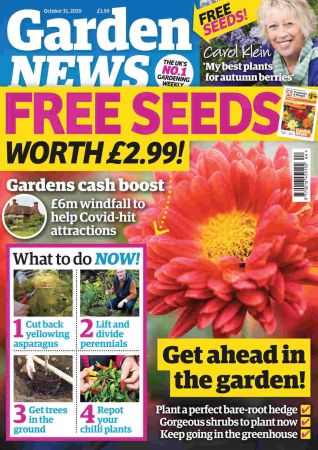 Garden News   31 October 2020