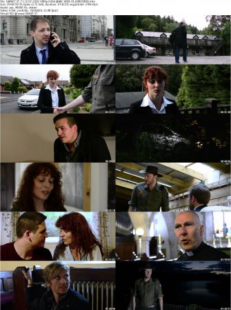 The Conspiracy Of Dark Falls 2020 1080p H264 AAC WEB-DL-BOBDOBBS