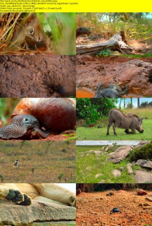 Tiny World S01 WEB-DL x264-ION10
