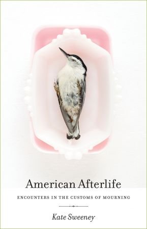 American Afterlife: Encounters in the Customs of Mourning (EPUB)