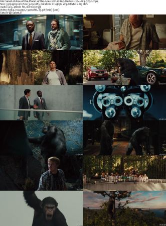 Planet Of The Apes Complete Collection 1080p BluRay H264 AC3 DD5.1 Will1869