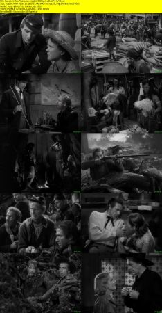 The Plainsman 1936 WEBRip XviD MP3-XVID