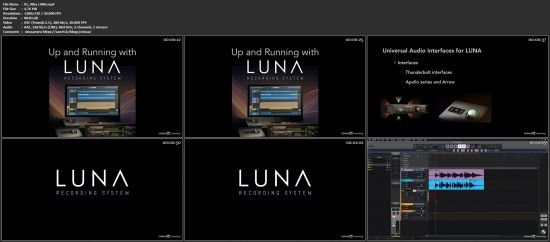 Up and Running with LUNA 