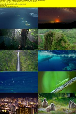 PBS-BBC EARTH - Islands of Wonder: Series 1 (2020) 1080p HDTV x264 AAC MVGroup