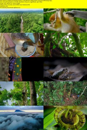 PBS-BBC EARTH - Islands of Wonder: Series 1 (2020) 1080p HDTV x264 AAC MVGroup