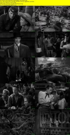The Plainsman 1936 WEBRip x264-ION10
