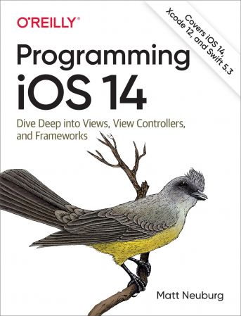 Programming iOS 14: Dive Deep into Views, View Controllers, and Frameworks (True EPUB)