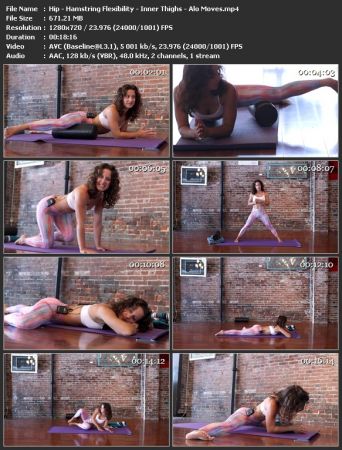 Alomoves - Hip / Hamstring Flexibility