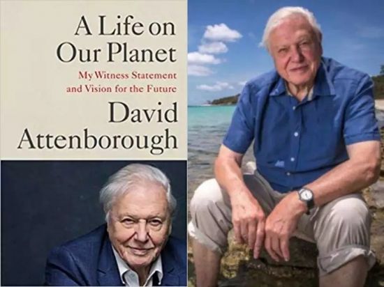 Download Netflix David Attenborough A Life On Our Planet 2020 720p Download Netflix David Attenborough A Life On Our Planet 2020 720p